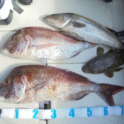 ＨＡＲＵＫＡ丸　はるかまる 釣果