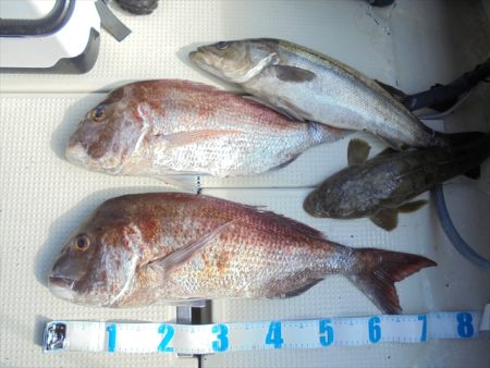 ＨＡＲＵＫＡ丸　はるかまる 釣果