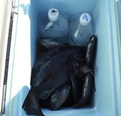 バラモン1号 釣果