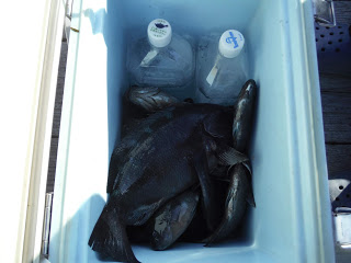 バラモン1号 釣果