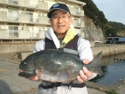 春日丸 釣果