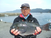 春日丸 釣果