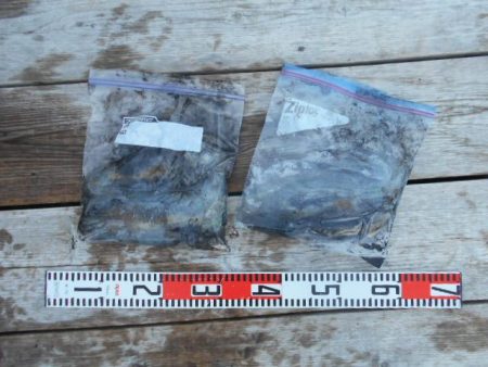 こかわ渡船 雅丸 釣果