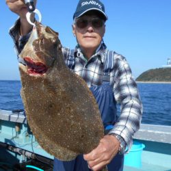 大進丸（愛知） 釣果