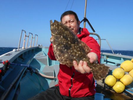 大進丸（愛知） 釣果