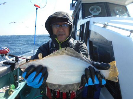 大進丸（愛知） 釣果