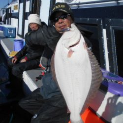 大進丸（愛知） 釣果