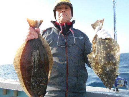 大進丸（愛知） 釣果