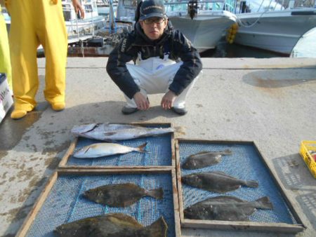 大進丸（愛知） 釣果