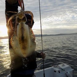フィッシングボート空風(そらかぜ) 釣果