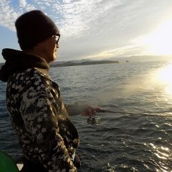 フィッシングボート空風(そらかぜ) 釣果