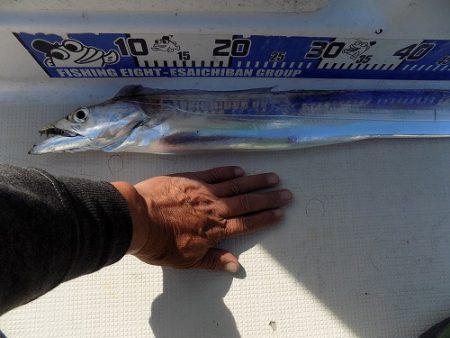 フィッシングボート空風(そらかぜ) 釣果