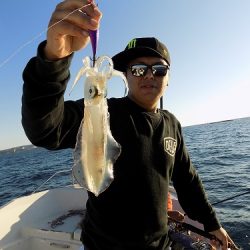 フィッシングボート空風(そらかぜ) 釣果