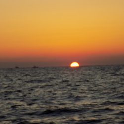 フィッシングボート空風(そらかぜ) 釣果