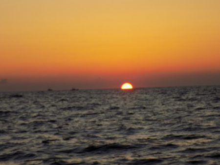 フィッシングボート空風(そらかぜ) 釣果