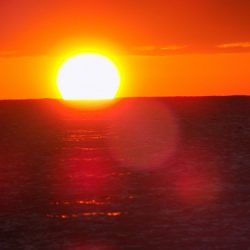 フィッシングボート空風（そらかぜ） 釣果