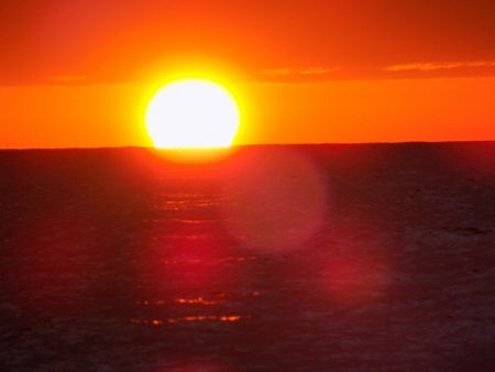 フィッシングボート空風（そらかぜ） 釣果