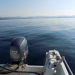フィッシングボート空風(そらかぜ) 釣果