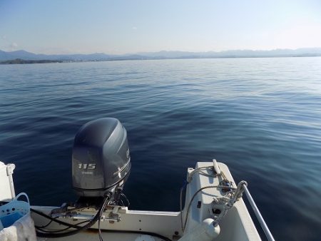 フィッシングボート空風(そらかぜ) 釣果