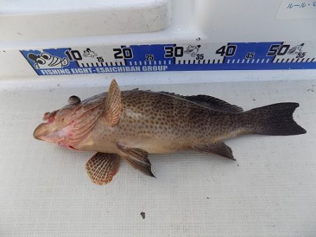 フィッシングボート空風(そらかぜ) 釣果