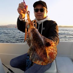 フィッシングボート空風(そらかぜ) 釣果