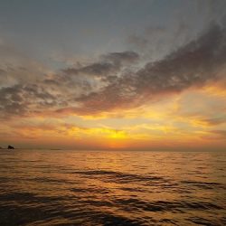 フィッシングボート空風(そらかぜ) 釣果