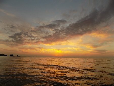 フィッシングボート空風(そらかぜ) 釣果