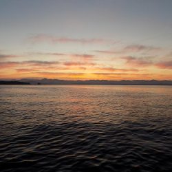 フィッシングボート空風(そらかぜ) 釣果