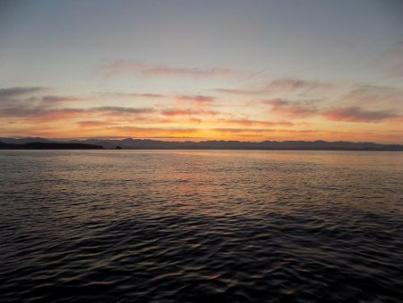フィッシングボート空風(そらかぜ) 釣果