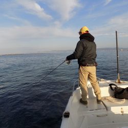 フィッシングボート空風(そらかぜ) 釣果
