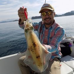 フィッシングボート空風(そらかぜ) 釣果