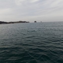 フィッシングボート空風(そらかぜ) 釣果