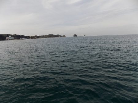 フィッシングボート空風(そらかぜ) 釣果