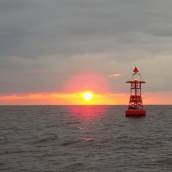 フィッシングボート空風(そらかぜ) 釣果