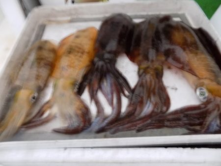 フィッシングボート空風(そらかぜ) 釣果