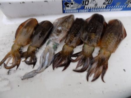 フィッシングボート空風(そらかぜ) 釣果