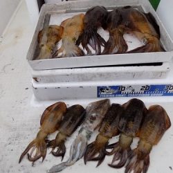 フィッシングボート空風(そらかぜ) 釣果