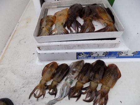 フィッシングボート空風(そらかぜ) 釣果