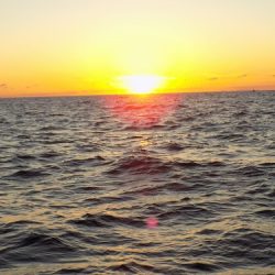 フィッシングボート空風（そらかぜ） 釣果