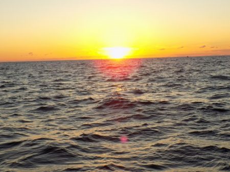 フィッシングボート空風（そらかぜ） 釣果