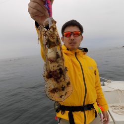 フィッシングボート空風（そらかぜ） 釣果