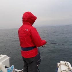 フィッシングボート空風（そらかぜ） 釣果