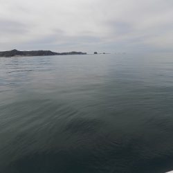 フィッシングボート空風(そらかぜ) 釣果