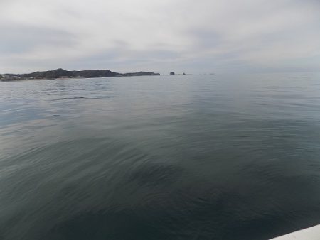 フィッシングボート空風(そらかぜ) 釣果