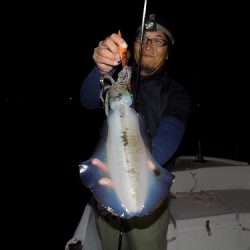 フィッシングボート空風(そらかぜ) 釣果