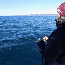 フィッシングボート空風(そらかぜ) 釣果