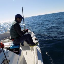 フィッシングボート空風(そらかぜ) 釣果