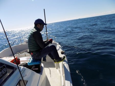 フィッシングボート空風(そらかぜ) 釣果