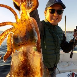 フィッシングボート空風(そらかぜ) 釣果