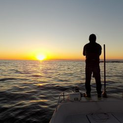 フィッシングボート空風(そらかぜ) 釣果